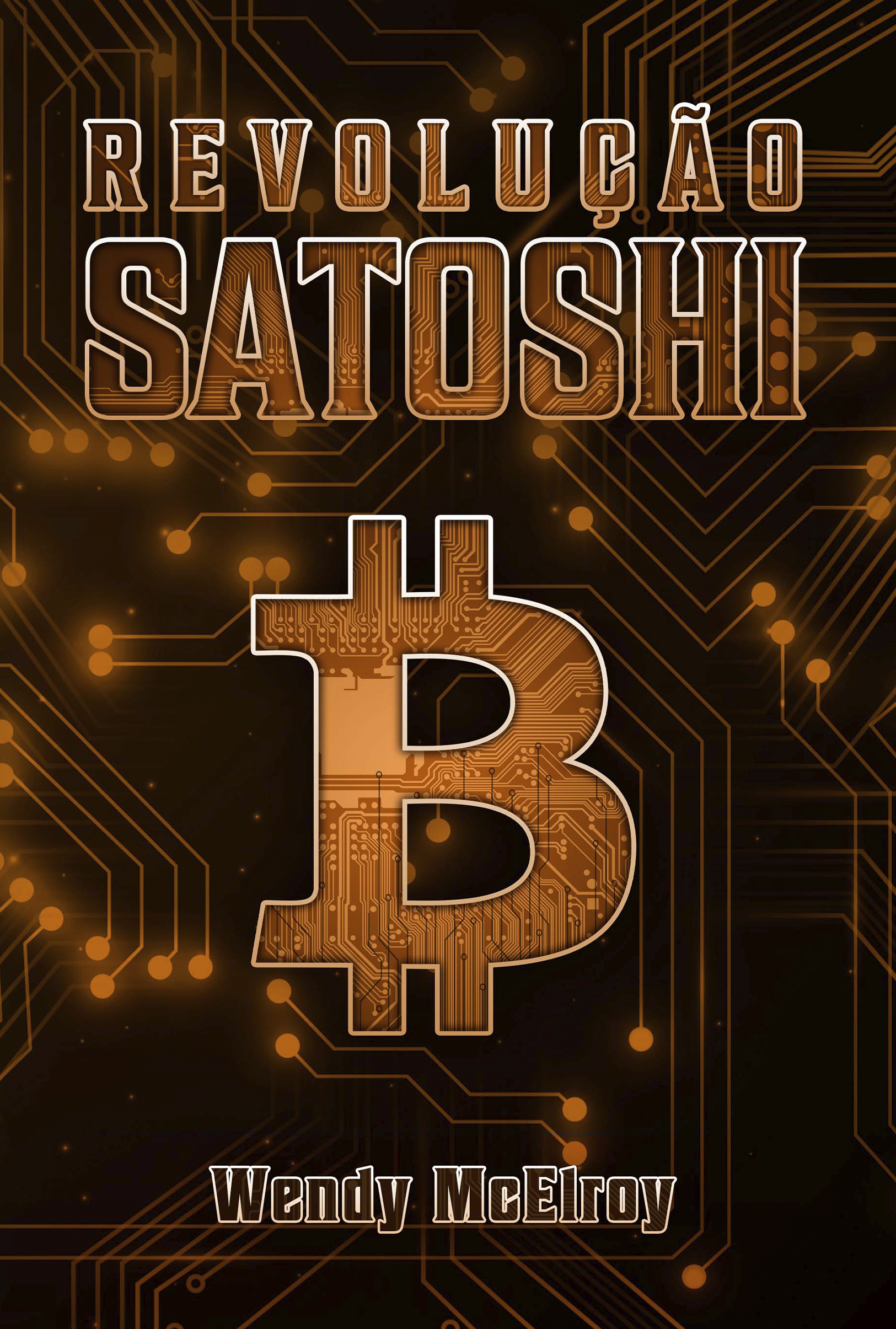 Revolução Satoshi, Uma Revolução das Esperanças Crescentes